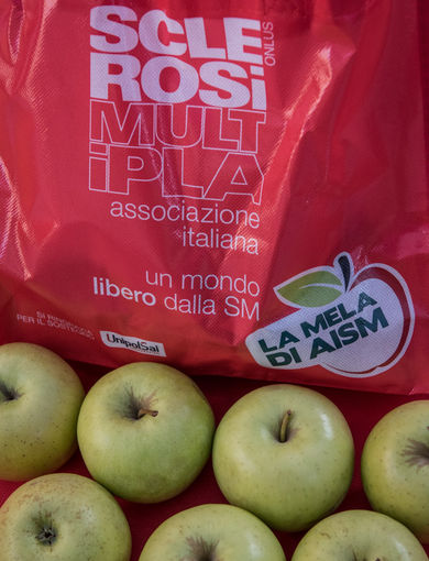 Le mele scendono in piazza 2015